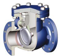 Illustration of Check-All swing check valve